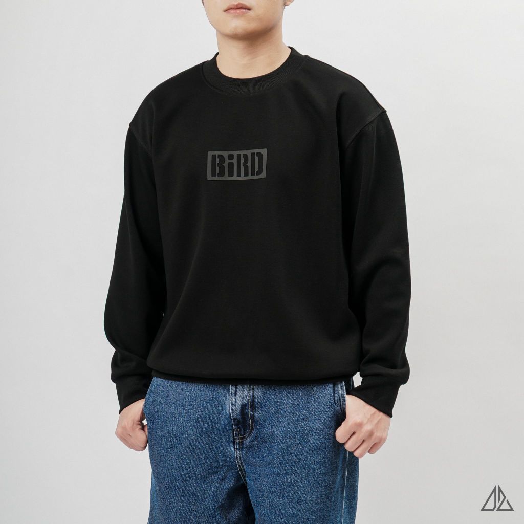 Áo Sweatshirt Nam D2SHOP in nổi BIRD, vải nỉ cao cấp TD-2603