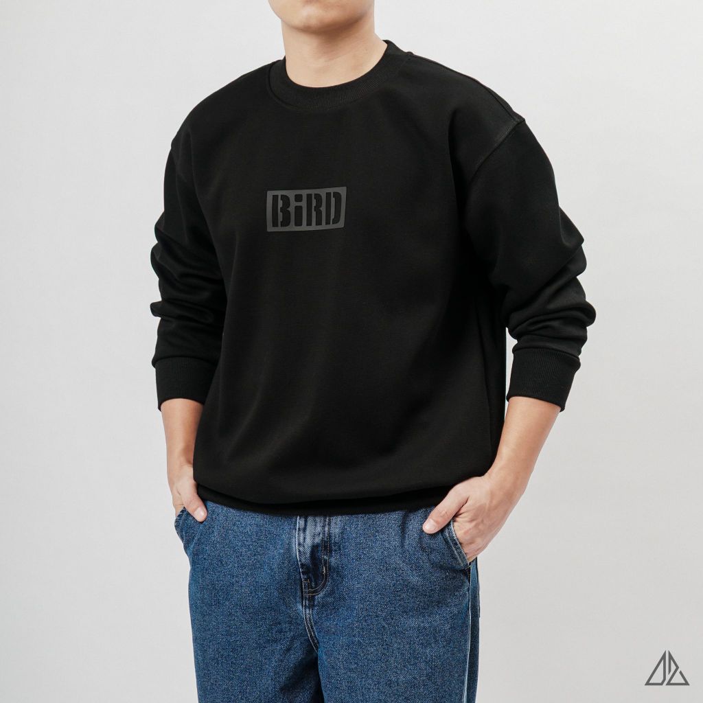 Áo Sweatshirt Nam D2SHOP in nổi BIRD, vải nỉ cao cấp TD-2603