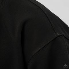 Áo Sweatshirt Nam D2SHOP in nổi BIRD, vải nỉ cao cấp TD-2603