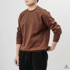 Áo Sweatshirt Nam D2SHOP in nổi BIRD, vải nỉ cao cấp TD-2603