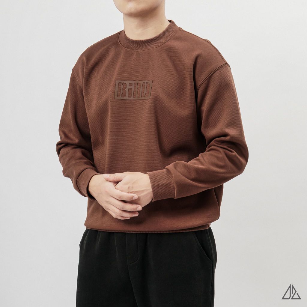 Áo Sweatshirt Nam D2SHOP in nổi BIRD, vải nỉ cao cấp TD-2603