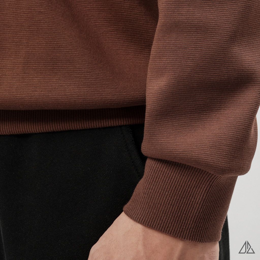 Áo Sweatshirt Nam D2SHOP in nổi BIRD, vải nỉ cao cấp TD-2603