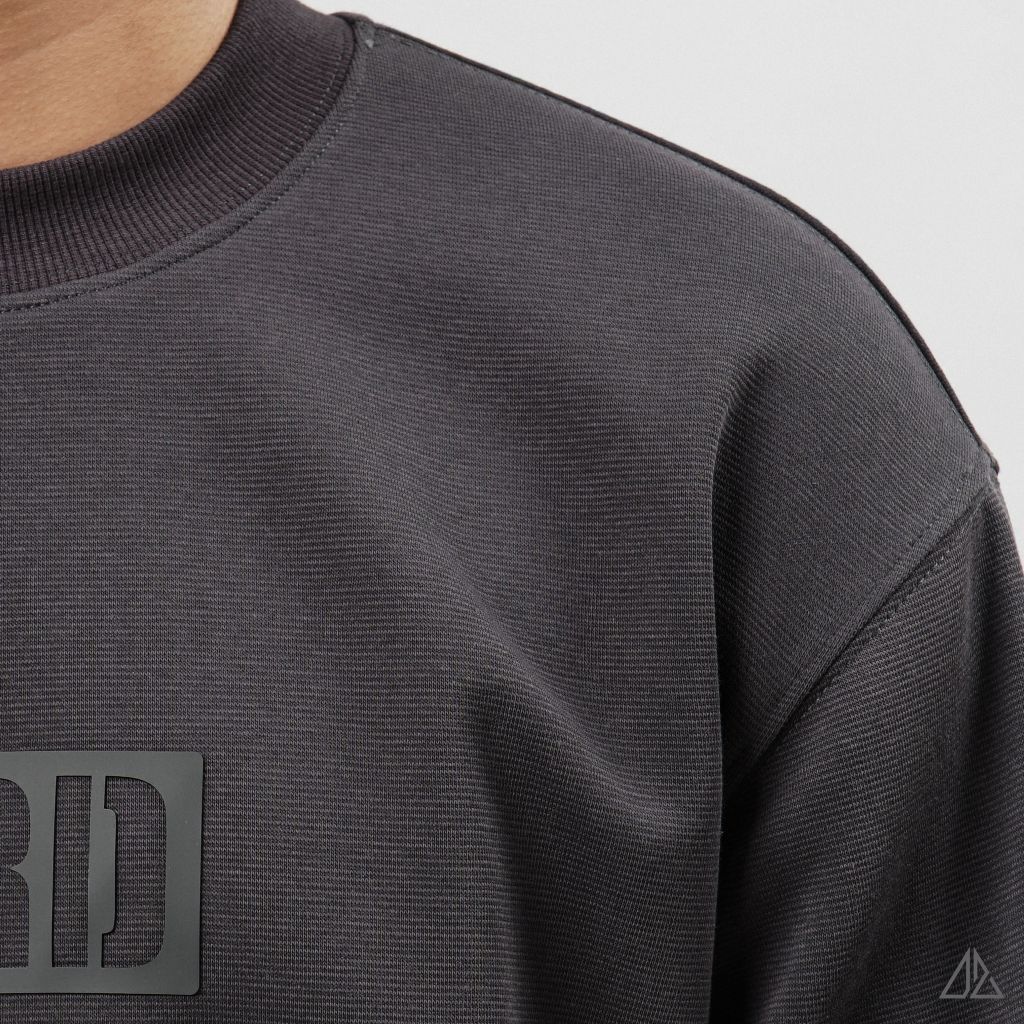 Áo Sweatshirt Nam D2SHOP in nổi BIRD, vải nỉ cao cấp TD-2603