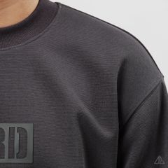 Áo Sweatshirt Nam D2SHOP in nổi BIRD, vải nỉ cao cấp TD-2603