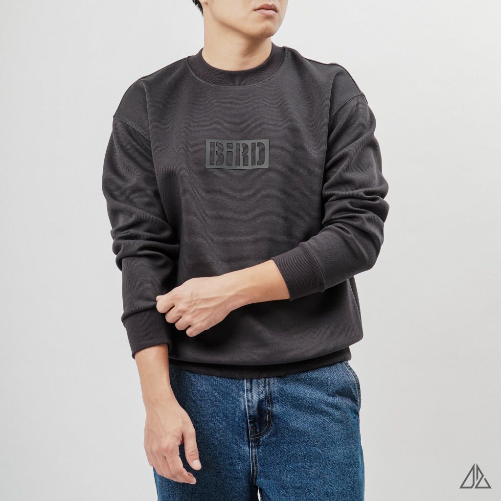 Áo Sweatshirt Nam D2SHOP in nổi BIRD, vải nỉ cao cấp TD-2603