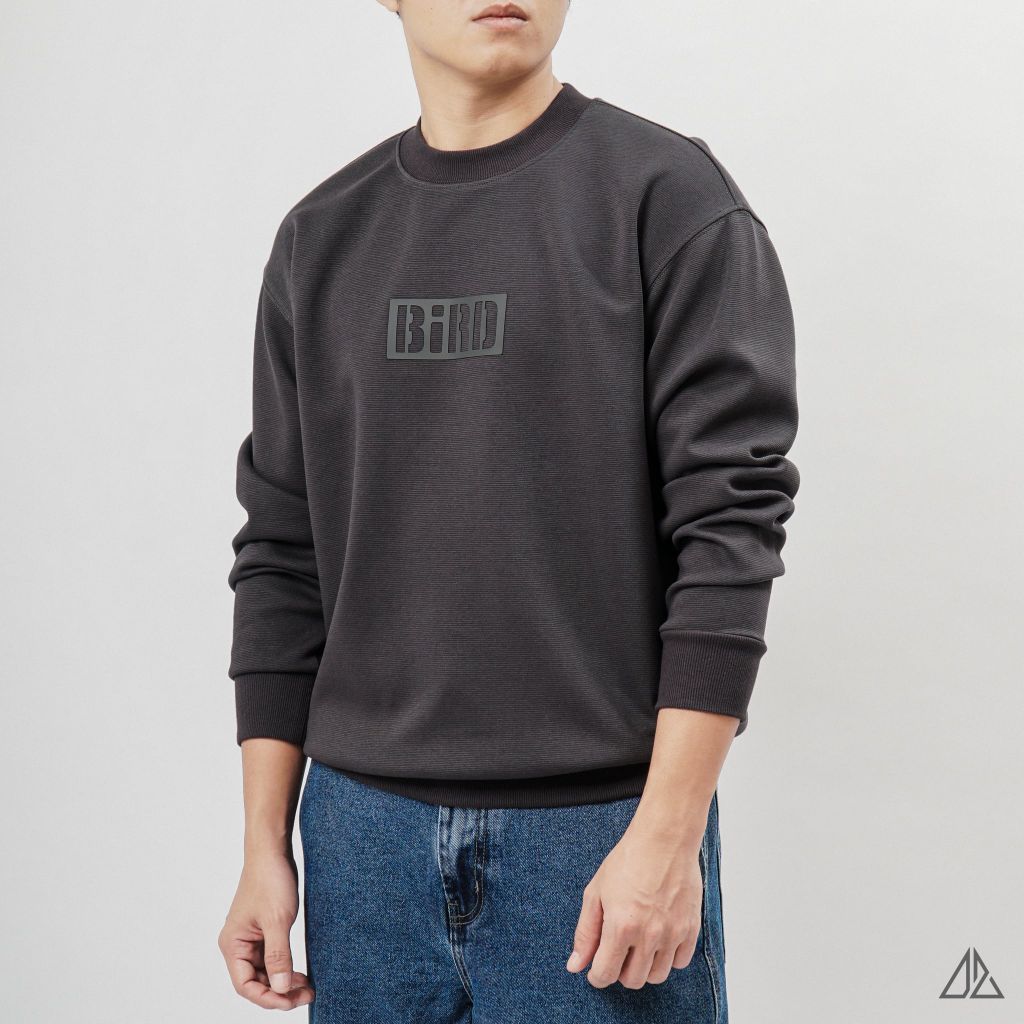 Áo Sweatshirt Nam D2SHOP in nổi BIRD, vải nỉ cao cấp TD-2603