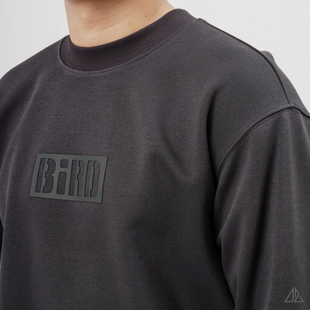 Áo Sweatshirt Nam D2SHOP in nổi BIRD, vải nỉ cao cấp TD-2603