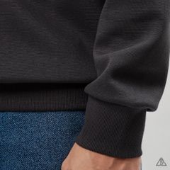 Áo Sweatshirt Nam D2SHOP in nổi BIRD, vải nỉ cao cấp TD-2603