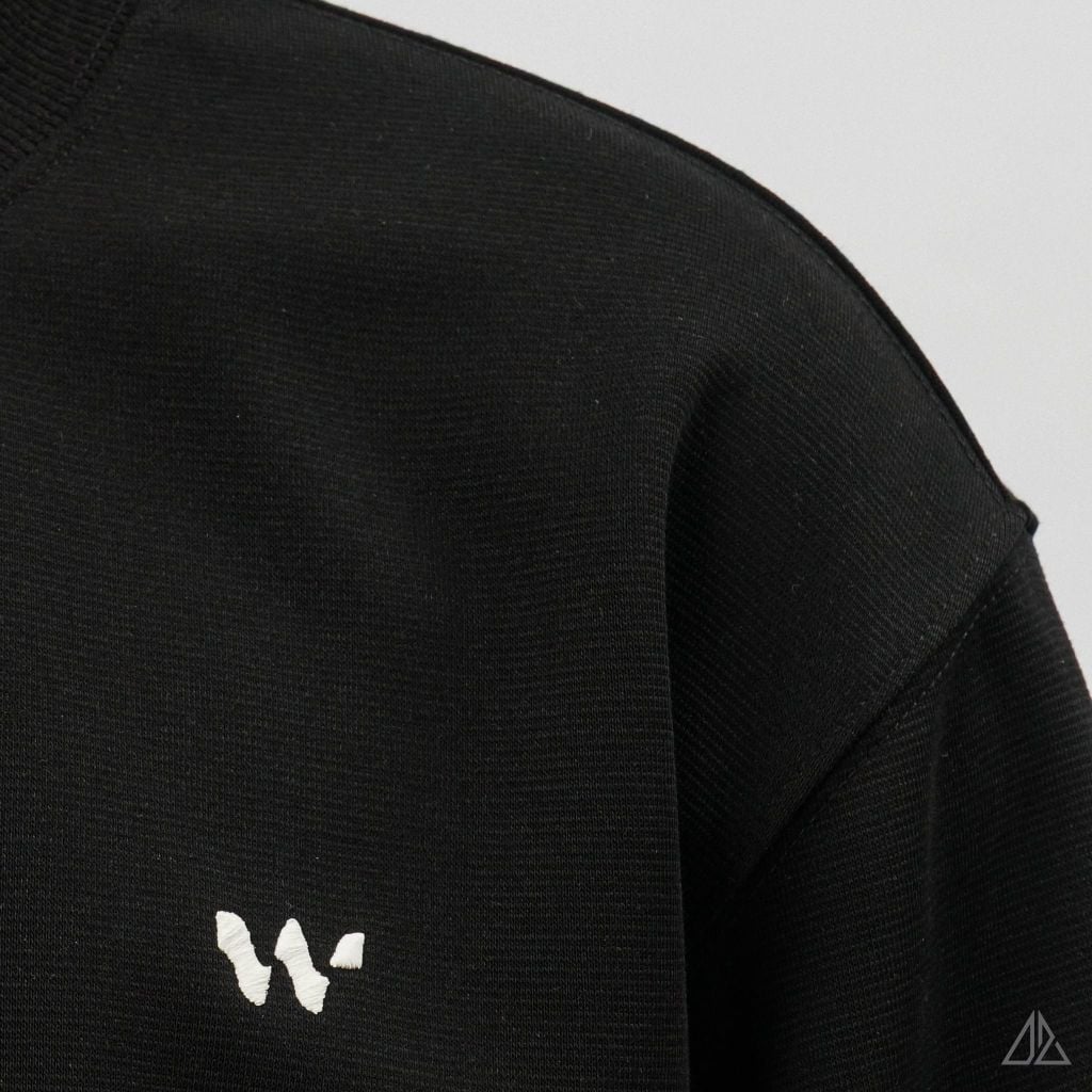 Áo Sweatshirt Nam D2SHOP thêu chữ W, vải nỉ cao cấp TD-2609