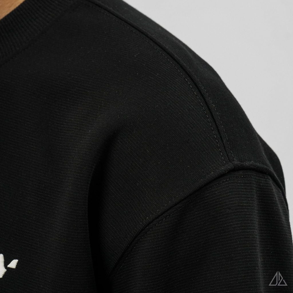 Áo Sweatshirt Nam D2SHOP thêu chữ W, vải nỉ cao cấp TD-2609