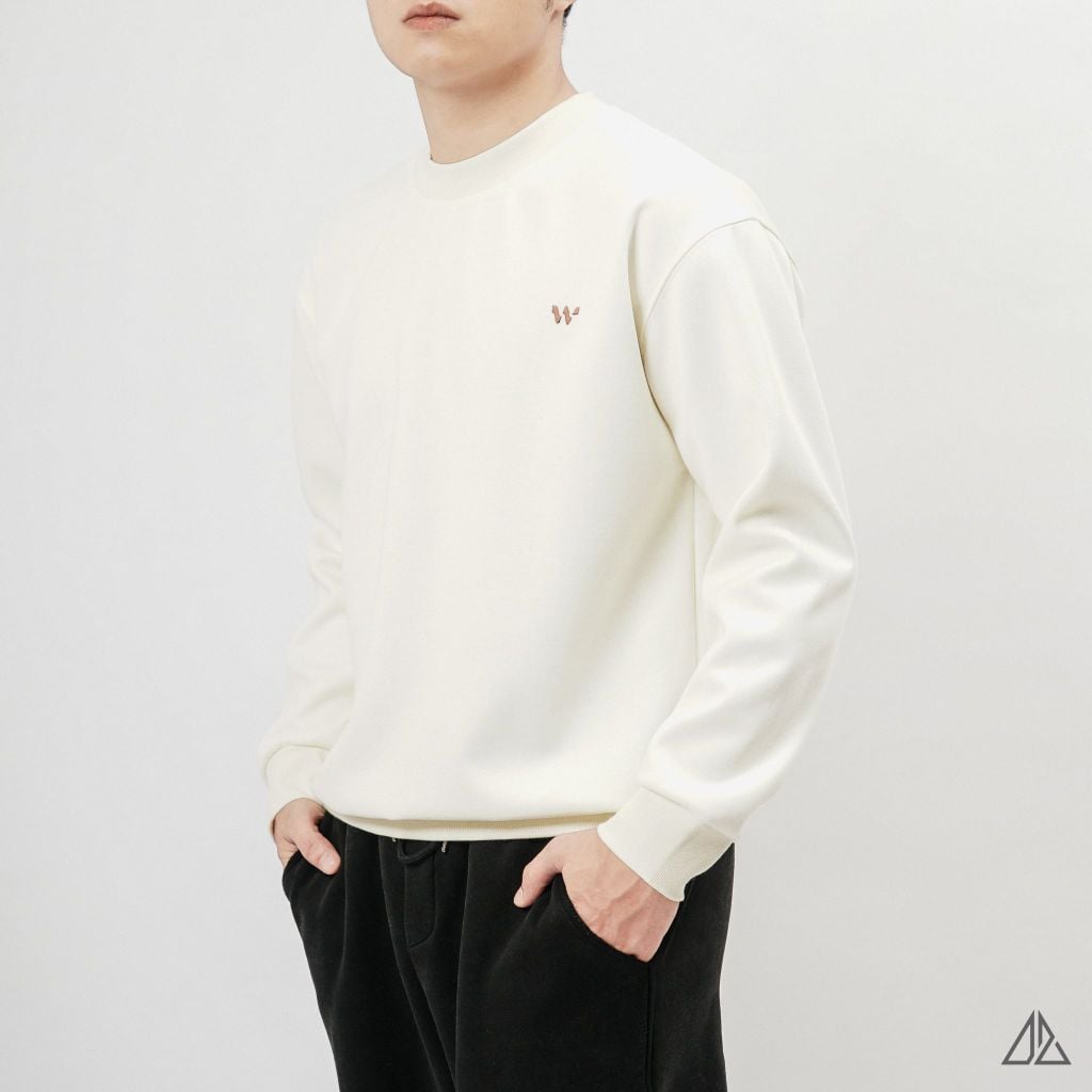Áo Sweatshirt Nam D2SHOP thêu chữ W, vải nỉ cao cấp TD-2609