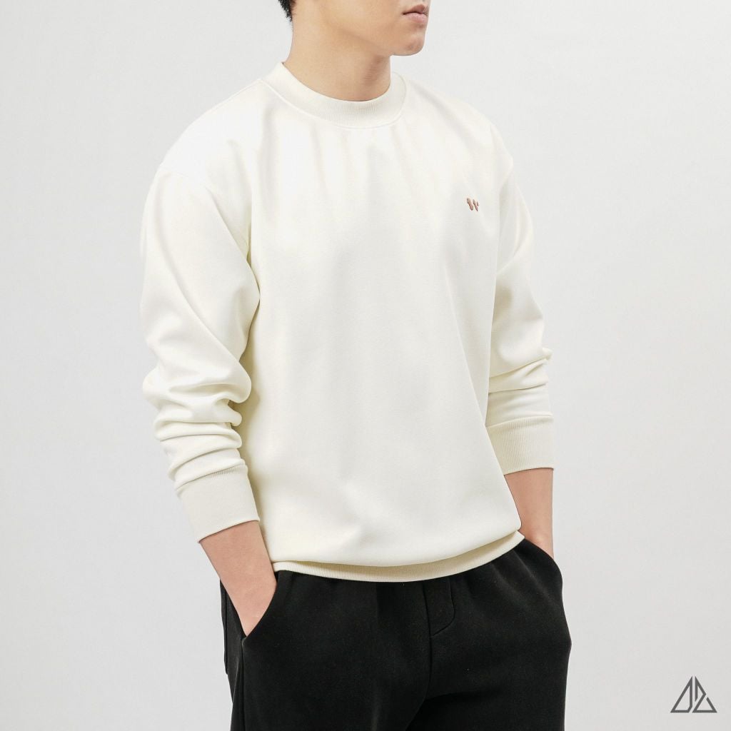 Áo Sweatshirt Nam D2SHOP thêu chữ W, vải nỉ cao cấp TD-2609
