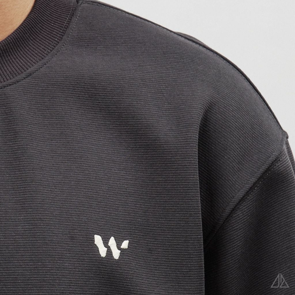 Áo Sweatshirt Nam D2SHOP thêu chữ W, vải nỉ cao cấp TD-2609