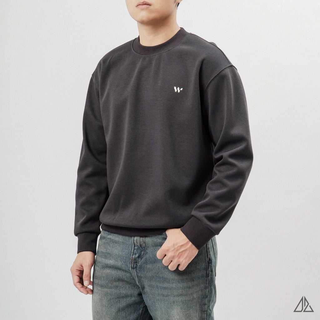 Áo Sweatshirt Nam D2SHOP thêu chữ W, vải nỉ cao cấp TD-2609