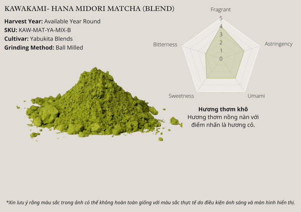 Bột Matcha Hana Midori Matcha Premium Grade từ vùng Yame Nhật Bản