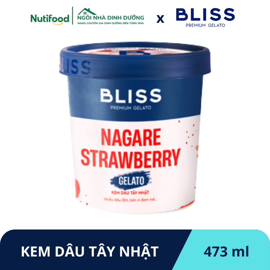  KEM DÂU TÂY NHẬT 473ML BLISS PREMIUM GELATO 