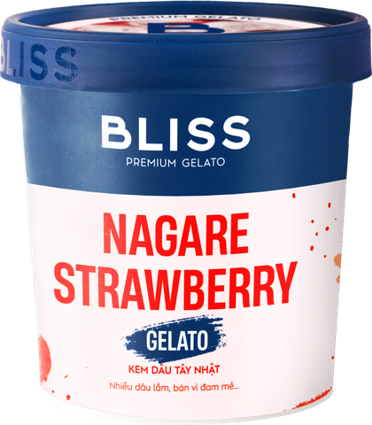  KEM DÂU TÂY NHẬT 473ML BLISS PREMIUM GELATO 