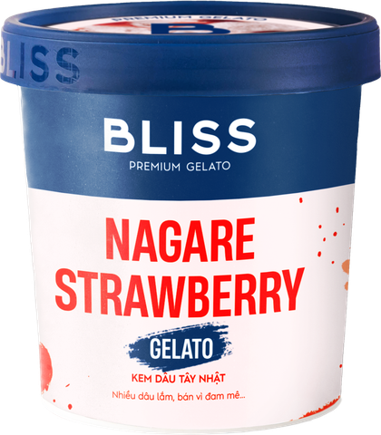  KEM DÂU TÂY NHẬT 473ML BLISS PREMIUM GELATO 