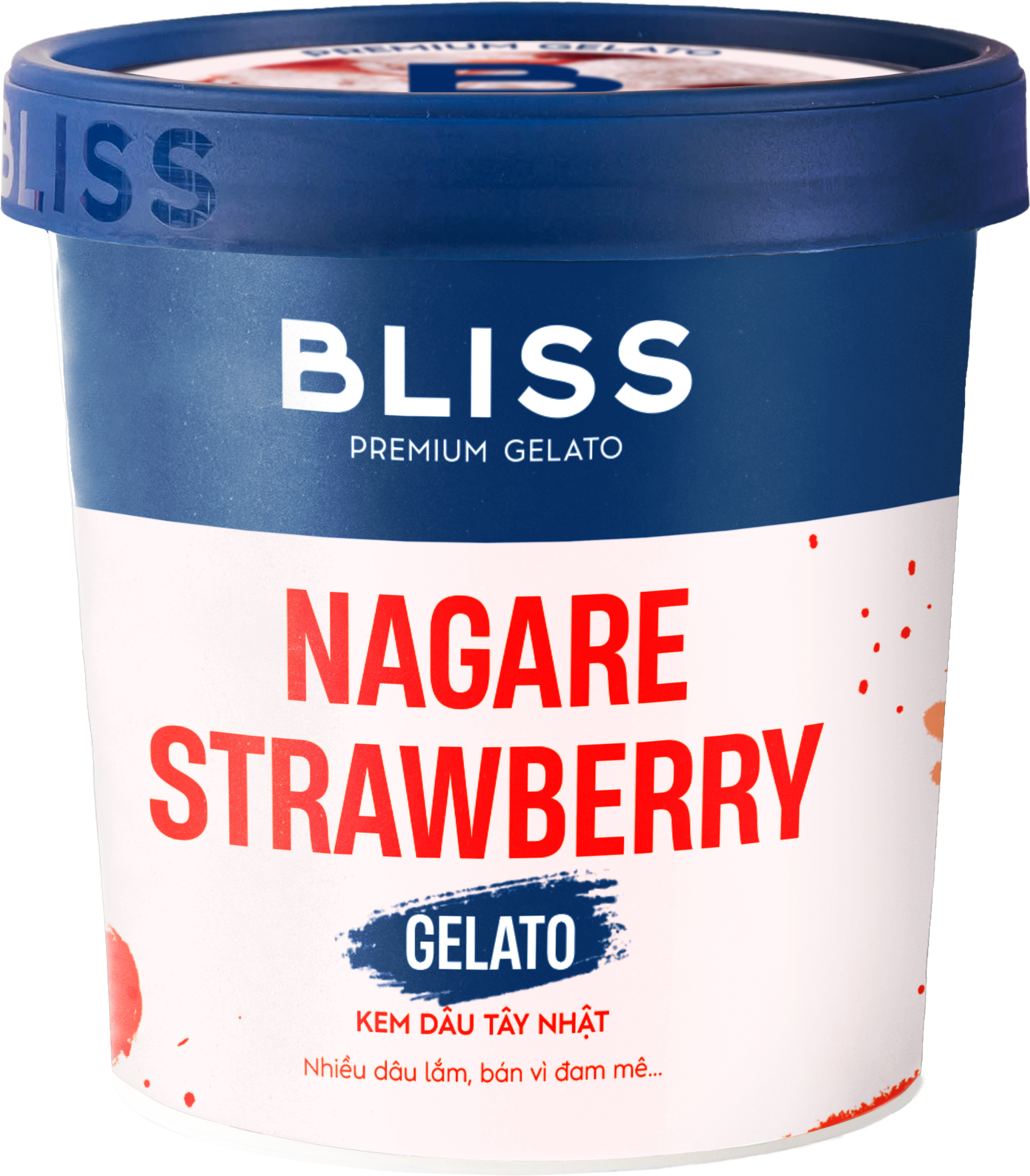  KEM DÂU TÂY NHẬT 473ML BLISS PREMIUM GELATO 