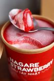  KEM DÂU TÂY NHẬT 473ML BLISS PREMIUM GELATO 