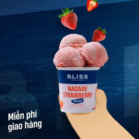  KEM DÂU TÂY NHẬT 473ML BLISS PREMIUM GELATO - LIVE 