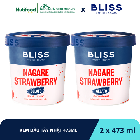 KEM DÂU TÂY NHẬT 473ML BLISS PREMIUM GELATO - LIVE 