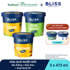 HOA QUẢ NHIỆT ĐỚI (3 hộp x 473ml) - Kem Sầu Riêng (Durian Gelato) + Dừa Non (Young Coconut Gelato) + Xoài Muối Ớt Sorbet (Mangonada Sorbet)