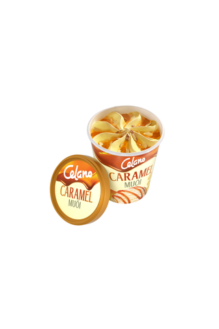  Kem Hộp Giấy Celcaramel muối 460ml 