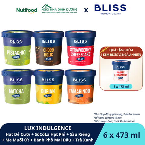  LUX INDULGENCE (6 hộp x 473ml) - Kem Hạt Dẻ Cười (Pistachio Gelato) + Sô Cô La Hạt Phỉ (Chocoholic Gelato) + Sầu Riêng (Durian Gelato) + Me Muối Ớt Sorbet (Tamarindo Sorbet) + Bánh Phô Mai Dâu (Strawberry Cheesecake Gelato) + Trà Xanh (Matcha Gelato) 