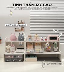 Kệ sách gỗ 2 tầng đa năng IG419