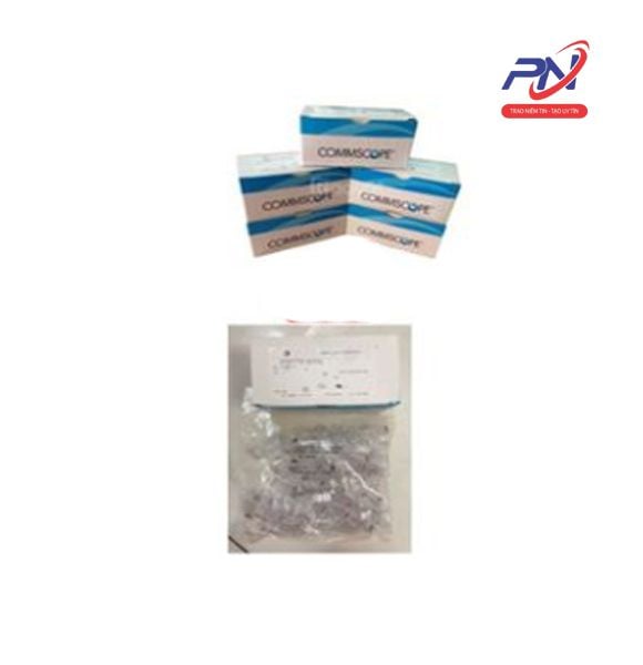  Hạt mạng RJ45 CAT6 Chân Đồng 