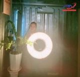  Đèn UFO Kim Cương 1000W Sáng Vàng 