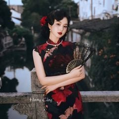 SXD Hồng Lưu Ảnh