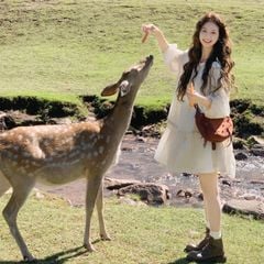 Đầm Vintage kem Layla