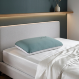 Gối nằm Ann Taylor Cooling Memory Pillow 