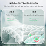  Gối JP Tencel sợi tre tự nhiên cao cấp 48x74cm 