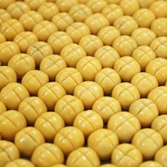LỚP BÁNH DỨA