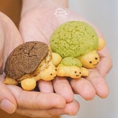 LỚP BÁNH SU