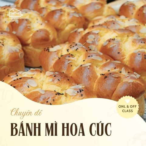LỚP BÁNH MÌ HOA CÚC