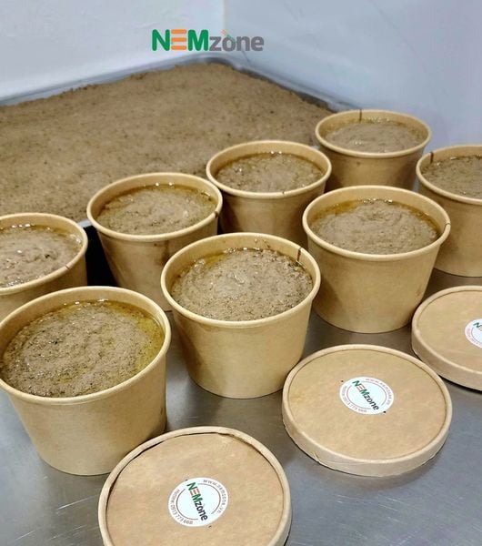 Hộp pate ( 0.5 kg ) 