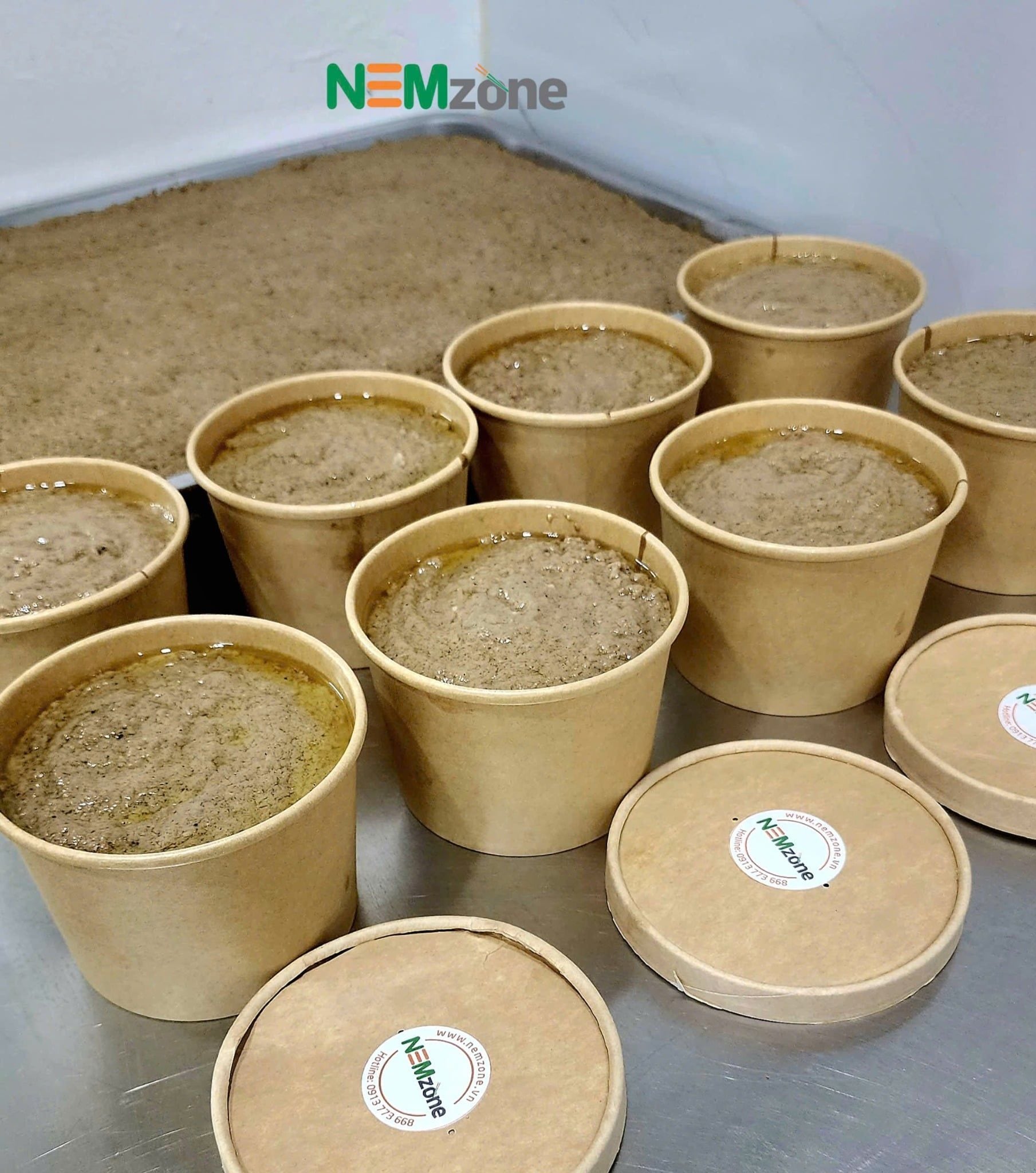  Hộp pate ( 0.5 kg ) 
