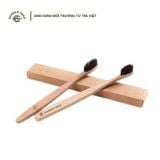  Bàn chải đánh răng bằng tre | Bamboo Toothbrush 