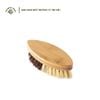 Bàn chải giặt đồ, chà giày bằng tre | Bamboo multi-purpose Brush