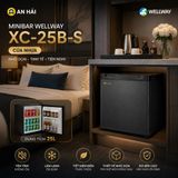 MINIBAR WELLWAY XC-25B-S 