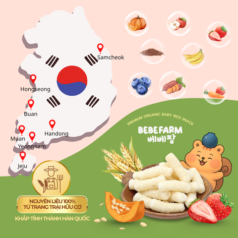 Bánh Ăn Dặm Bebefarm Hữu Cơ Organic 100% Cho Bé Hàn Quốc