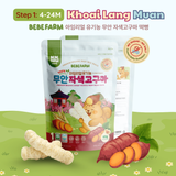 Bánh Ăn Dặm Bebefarm Hữu Cơ Organic 100% Cho Bé Hàn Quốc