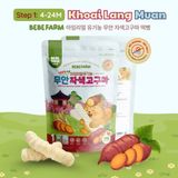 COMBO 5 Gói Bánh Ăn Dặm Bebefarm Hữu Cơ Organic 100% Cho Bé Hàn Quốc - Thanh dài - Cho bé từ 4 tháng