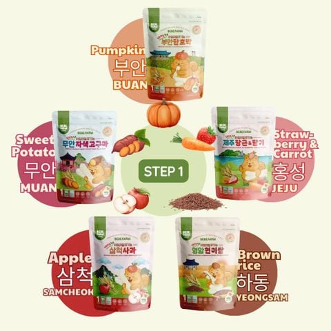 COMBO 5 Gói Bánh Ăn Dặm Bebefarm Hữu Cơ Organic 100% Cho Bé Hàn Quốc - Thanh dài - Cho bé từ 4 tháng