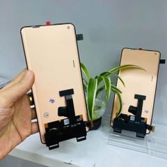 Màn Hình Oppo Find X5 / CPH2307 / PFFM10