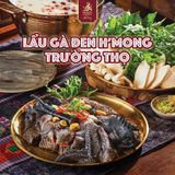  Lẩu gà đen H'Mông trường thọ (ĐẶT TRƯỚC) 
